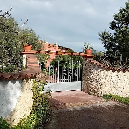 Il Vecchio Lentisco Apartment Alghero Bagian luar foto