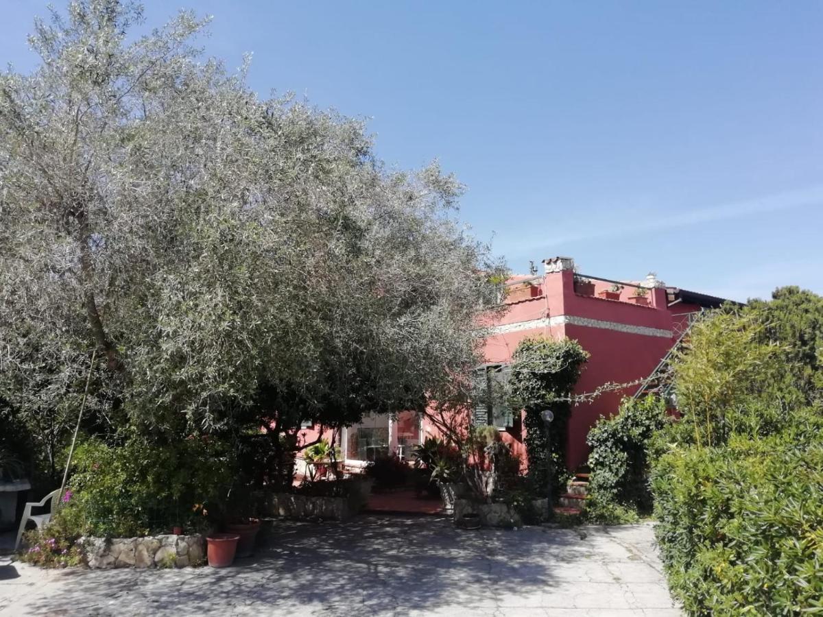 Il Vecchio Lentisco Apartment Alghero Bagian luar foto