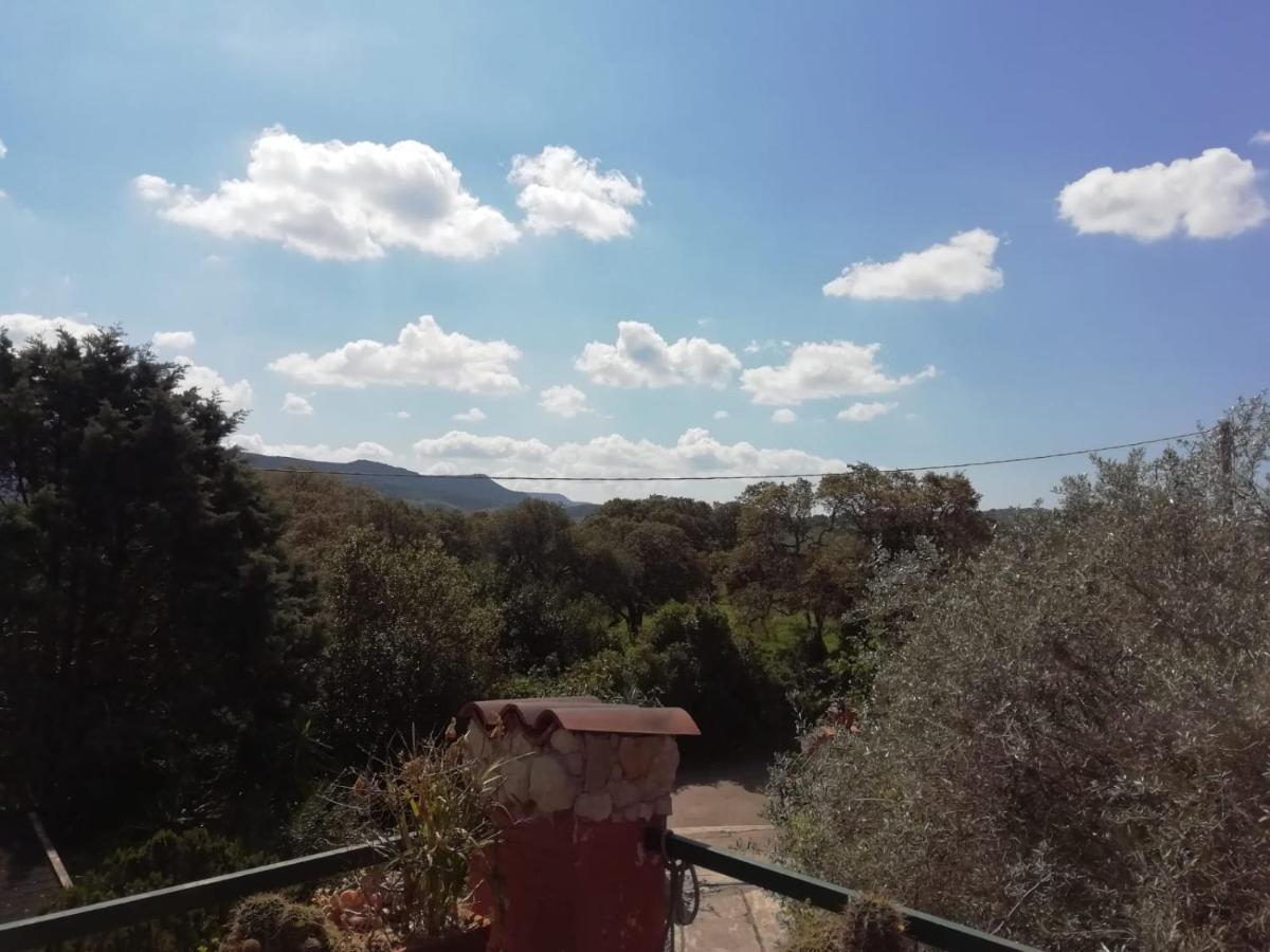 Il Vecchio Lentisco Apartment Alghero Bagian luar foto