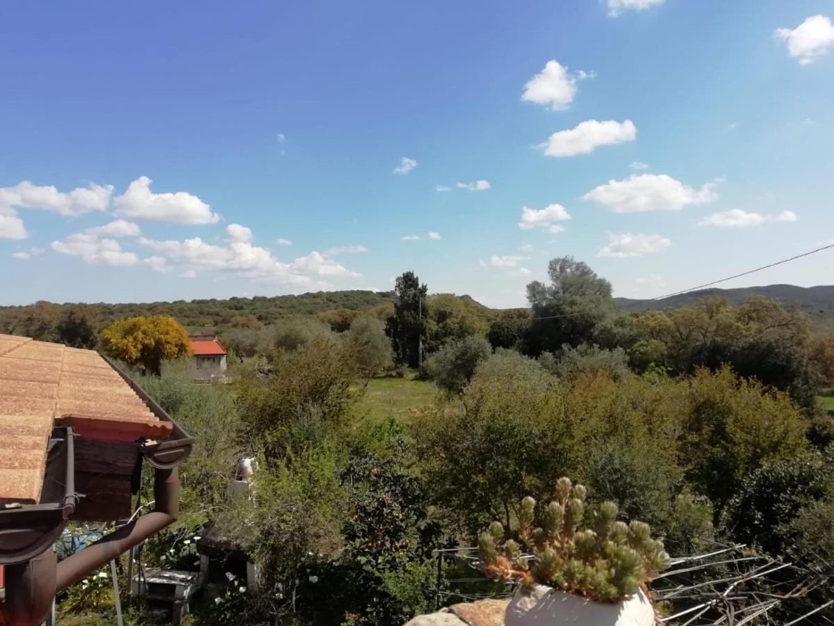 Il Vecchio Lentisco Apartment Alghero Bagian luar foto
