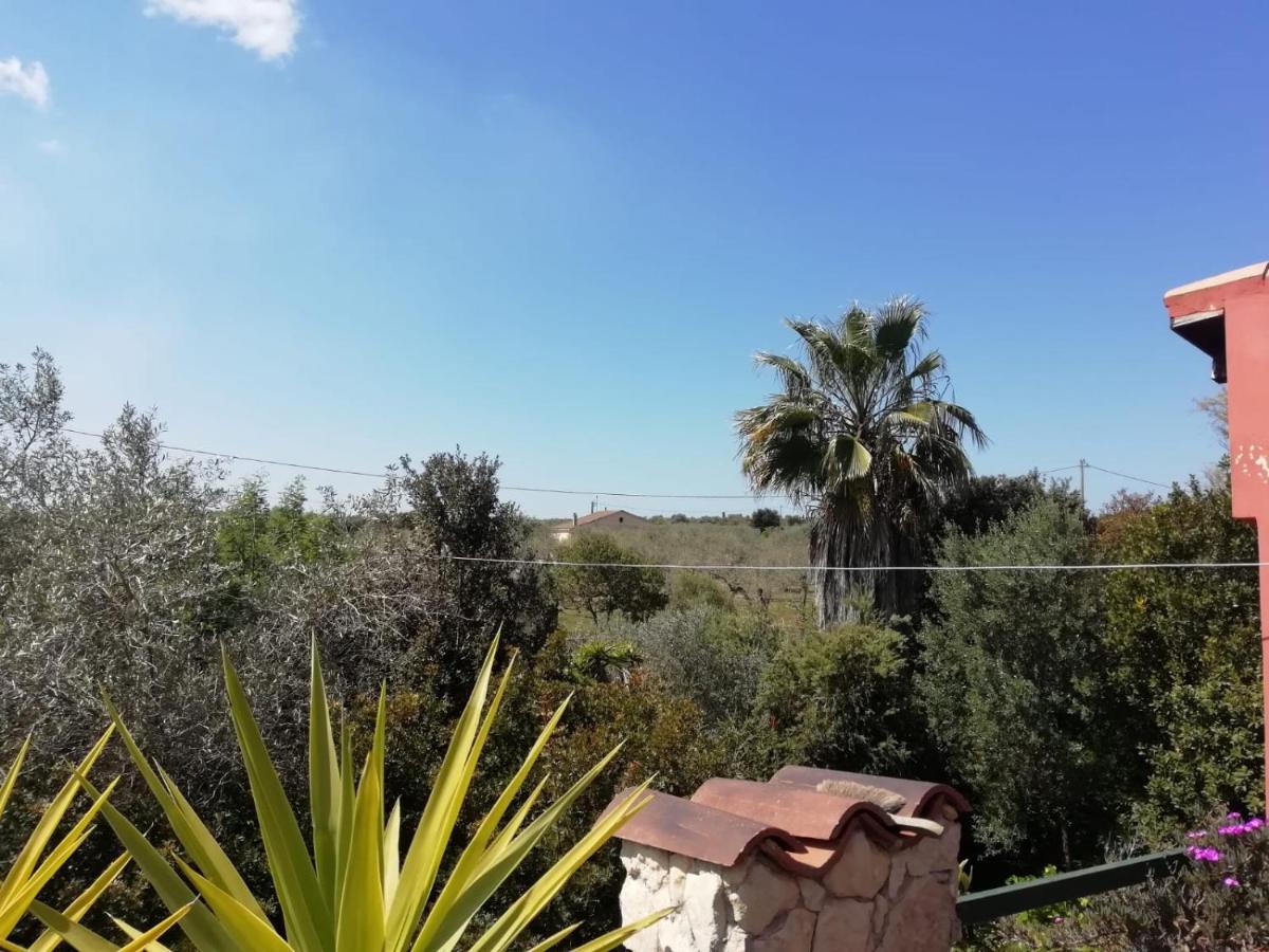 Il Vecchio Lentisco Apartment Alghero Bagian luar foto