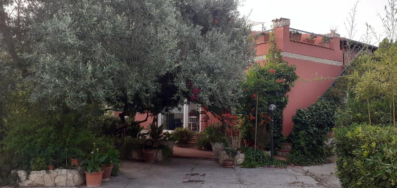 Il Vecchio Lentisco Apartment Alghero Bagian luar foto