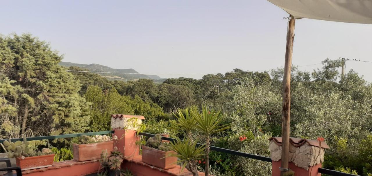 Il Vecchio Lentisco Apartment Alghero Bagian luar foto