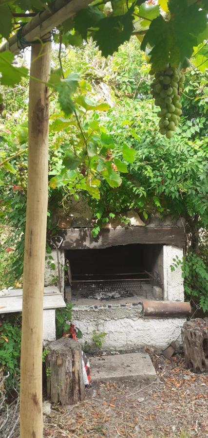 Il Vecchio Lentisco Apartment Alghero Bagian luar foto